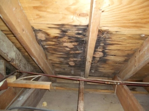 roof leaks and moisture problems